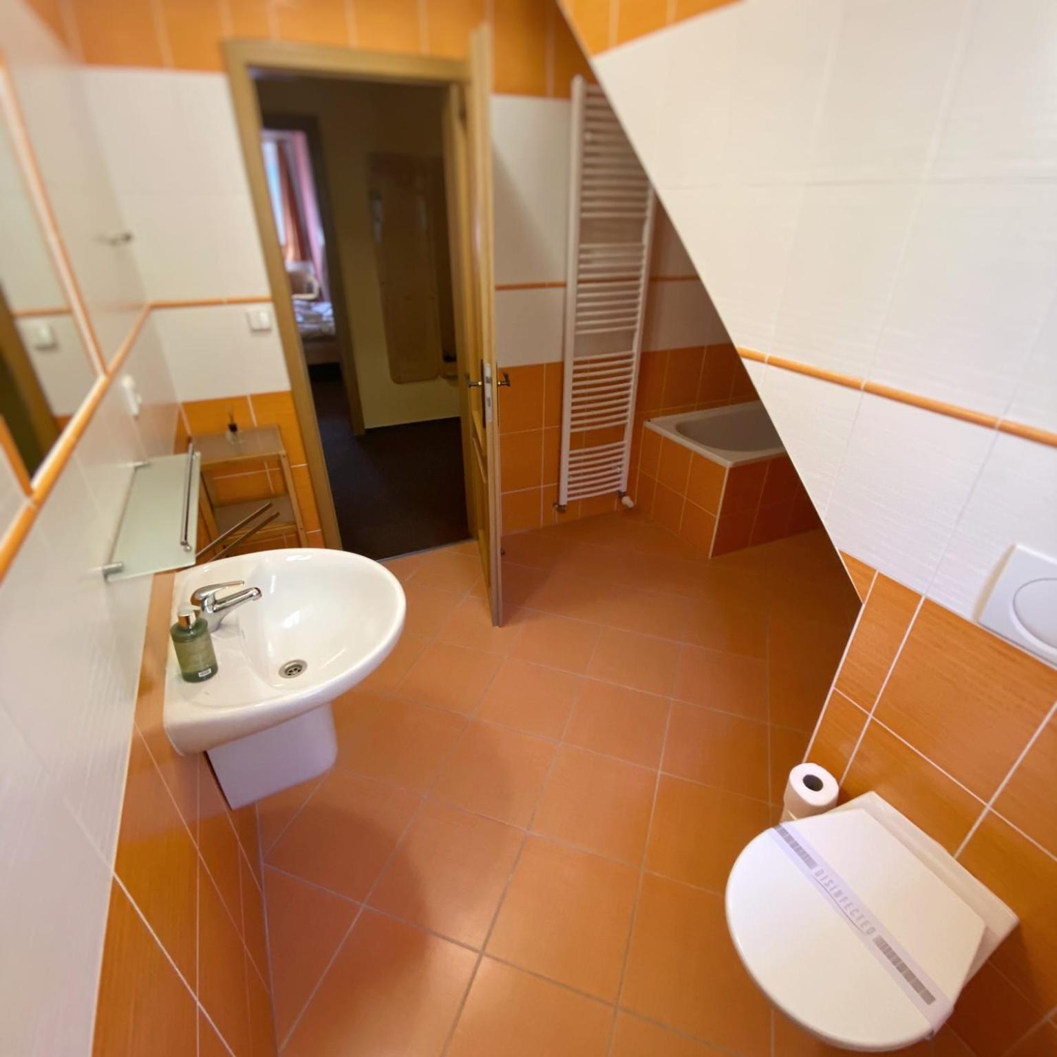 Horsky Hotel Snezenka Hyncice pod Susinou Exterior photo